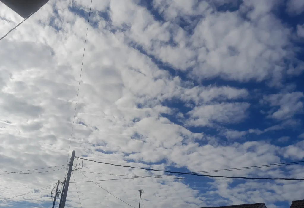IMG-20250906-WA0006
