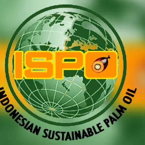berikut-beberapa-point-baru-pada-minyak-sawit-berkelanjutan-ispo