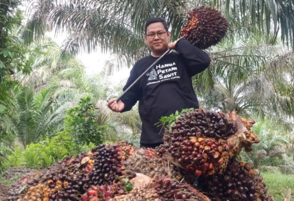 harga-cpo-dan-kernel-naik-kelapa-s