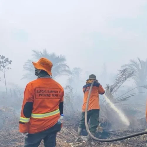 operasi-gabungan-darat-udara-karhu